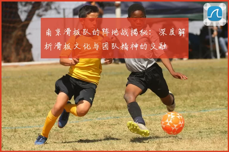 南京滑板队的阵地战揭秘:深度解析滑板文化与团队精神的交融