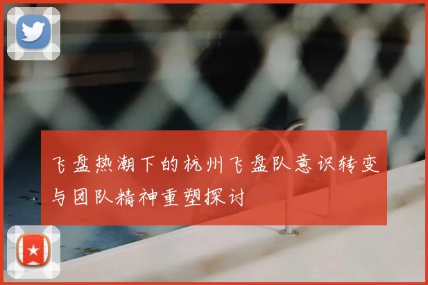 飞盘热潮下的杭州飞盘队意识转变与团队精神重塑探讨