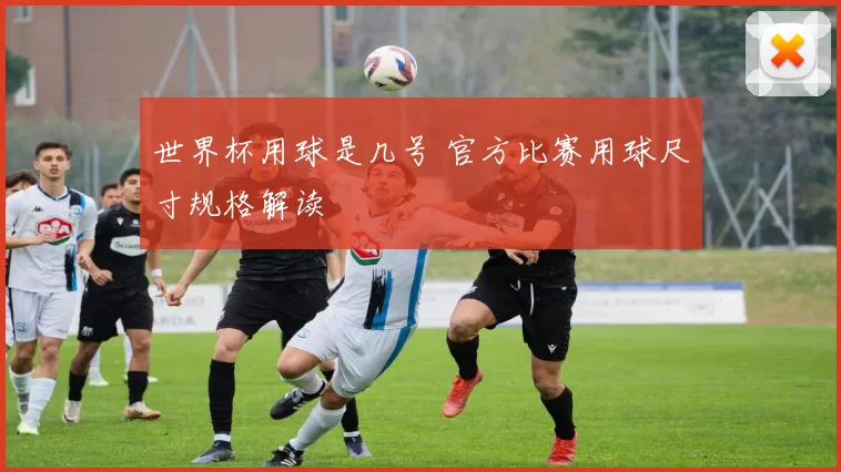 世界杯用球是几号 官方比赛用球尺寸规格解读