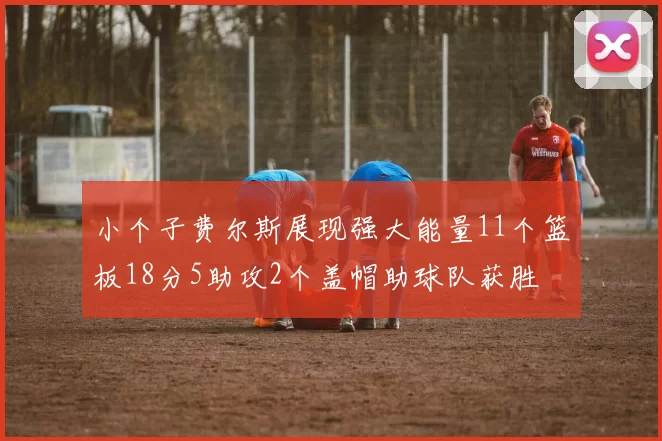 小个子费尔斯展现强大能量11个篮板18分5助攻2个盖帽助球队获胜