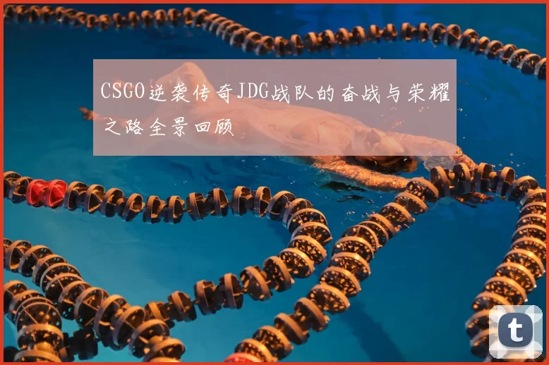 CSGO逆袭传奇JDG战队的奋战与荣耀之路全景回顾