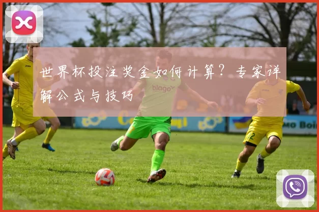世界杯投注奖金如何计算？专家详解公式与技巧