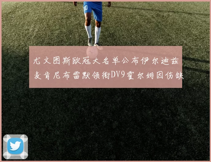 尤文图斯欧冠大名单公布伊尔迪兹麦肯尼布雷默领衔DV9霍尔姆因伤缺席