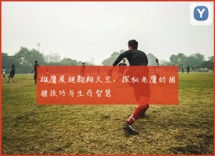 雄鹰展翅翱翔天空，探秘老鹰的捕猎技巧与生存智慧