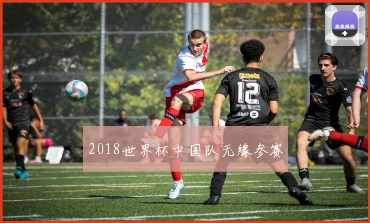2018世界杯中国队无缘参赛