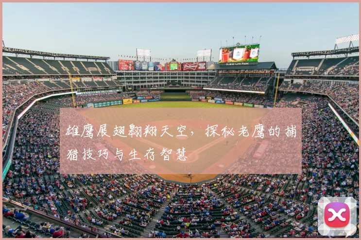 雄鹰展翅翱翔天空，探秘老鹰的捕猎技巧与生存智慧